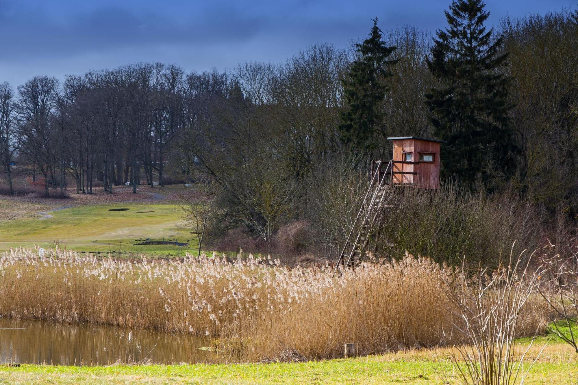 Tiny House Fleesensee Mit Eigenem Garten Und Nur Wenige Meter Vom Seeufer Goehren-Lebbin Exterior photo